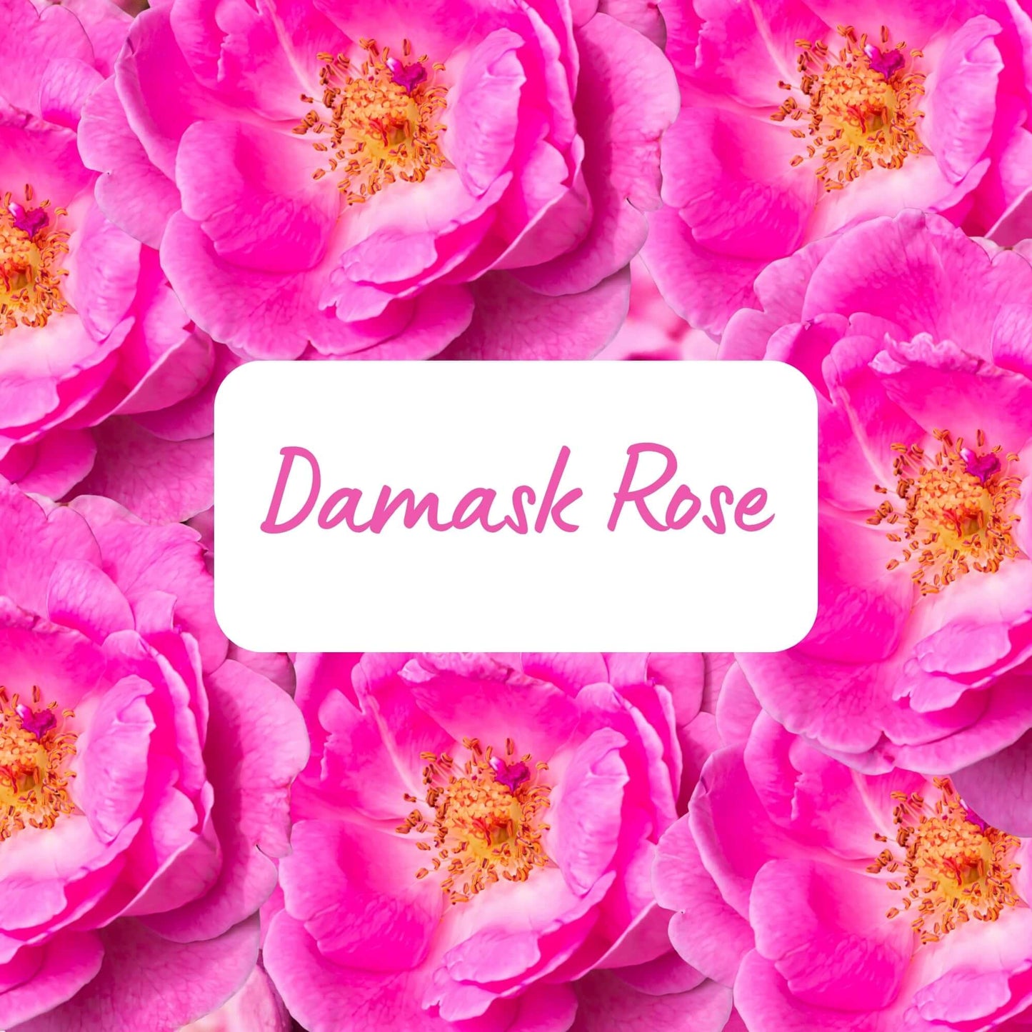 Damask Rose Scented Soy Wax Melts