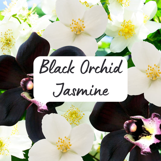 Black orchid and jasmine flowers with text overlay
