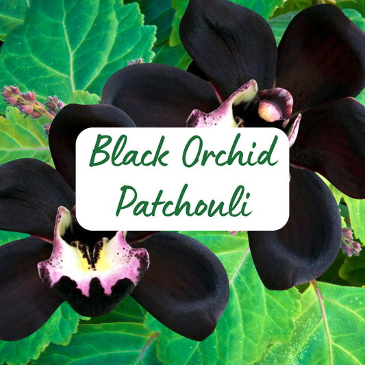 Black Orchid Patchouli - Soy Melt Snap Bar