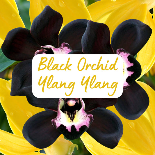 Black Orchid Ylang Ylang - Soy Melt Snap Bar
