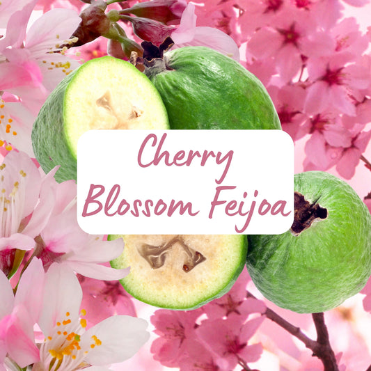 Green feijoas with pink cherry blossoms and a 'Cherry Blossom Feijoa' label.