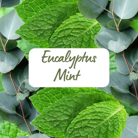 Eucalyptus Mint - Soy Melt Snap Bar