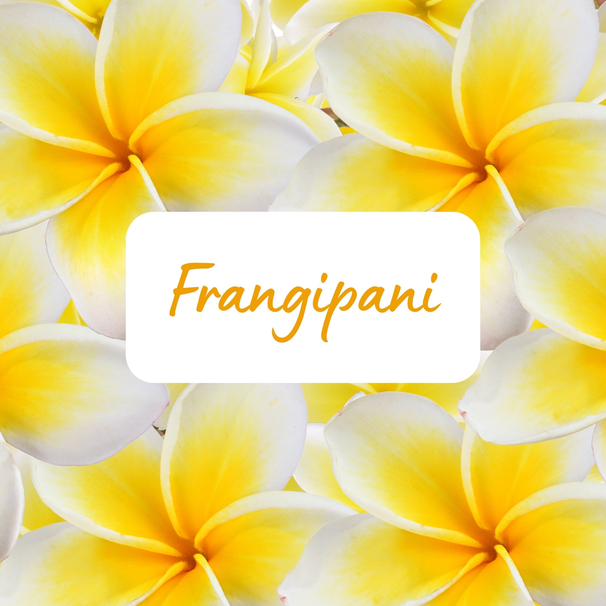 Close-up of yellow and white frangipani flowers with a 'Frangipani' label.