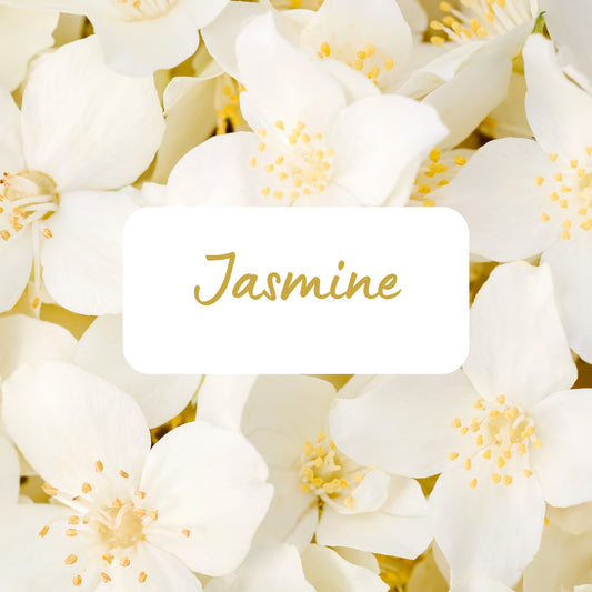 Jasmine - Soy Melt Snap Bar