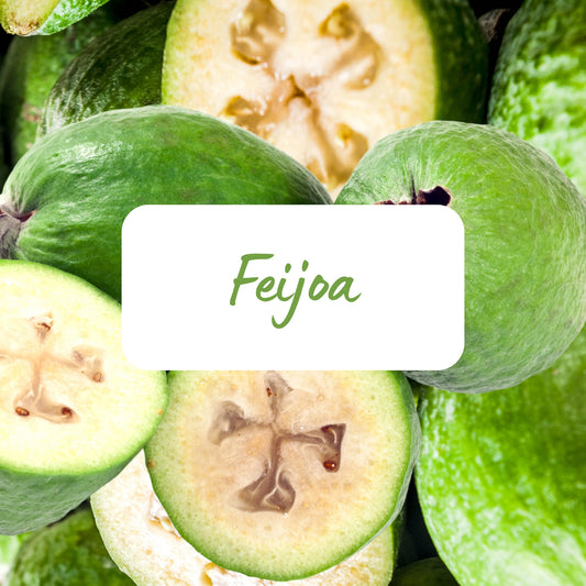 Feijoa - Soy Melt Snap Bar 45g
