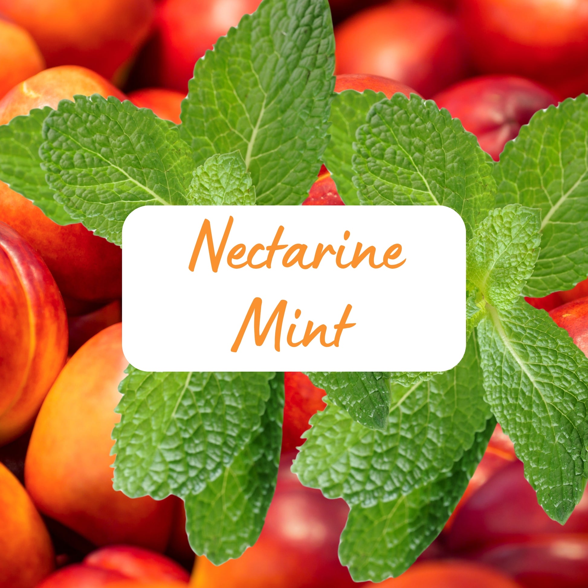 Nectarines with mint leaves and a label reading 'Nectarine Mint' on a blurred background of more nectarines.