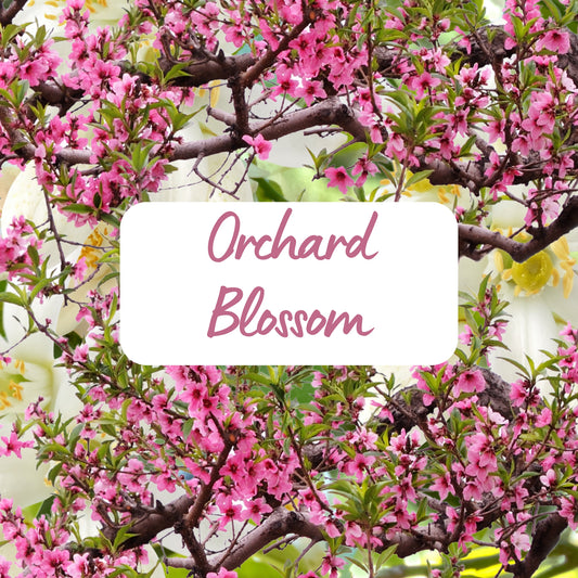 Orchard Blossom - Soy Melt Snap Bar