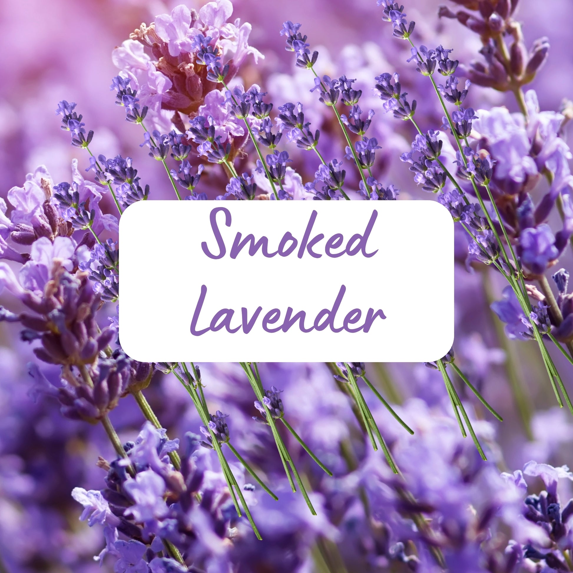 Close-up of purple lavender flowers with a label reading 'Smoked Lavender' on a blurred background.