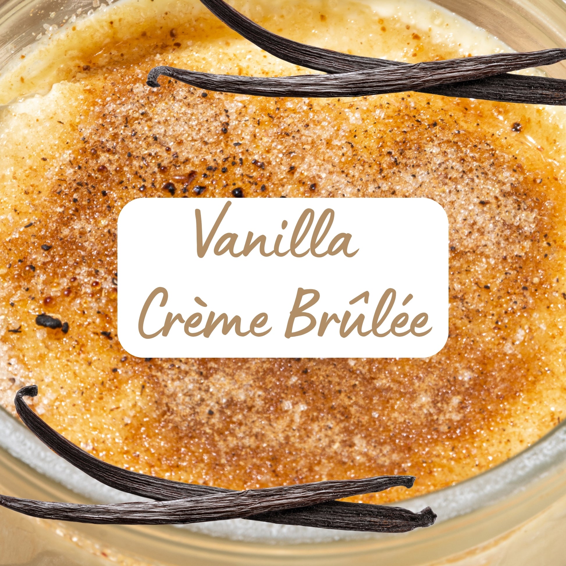 Vanilla crème brélé with vanilla beans on top