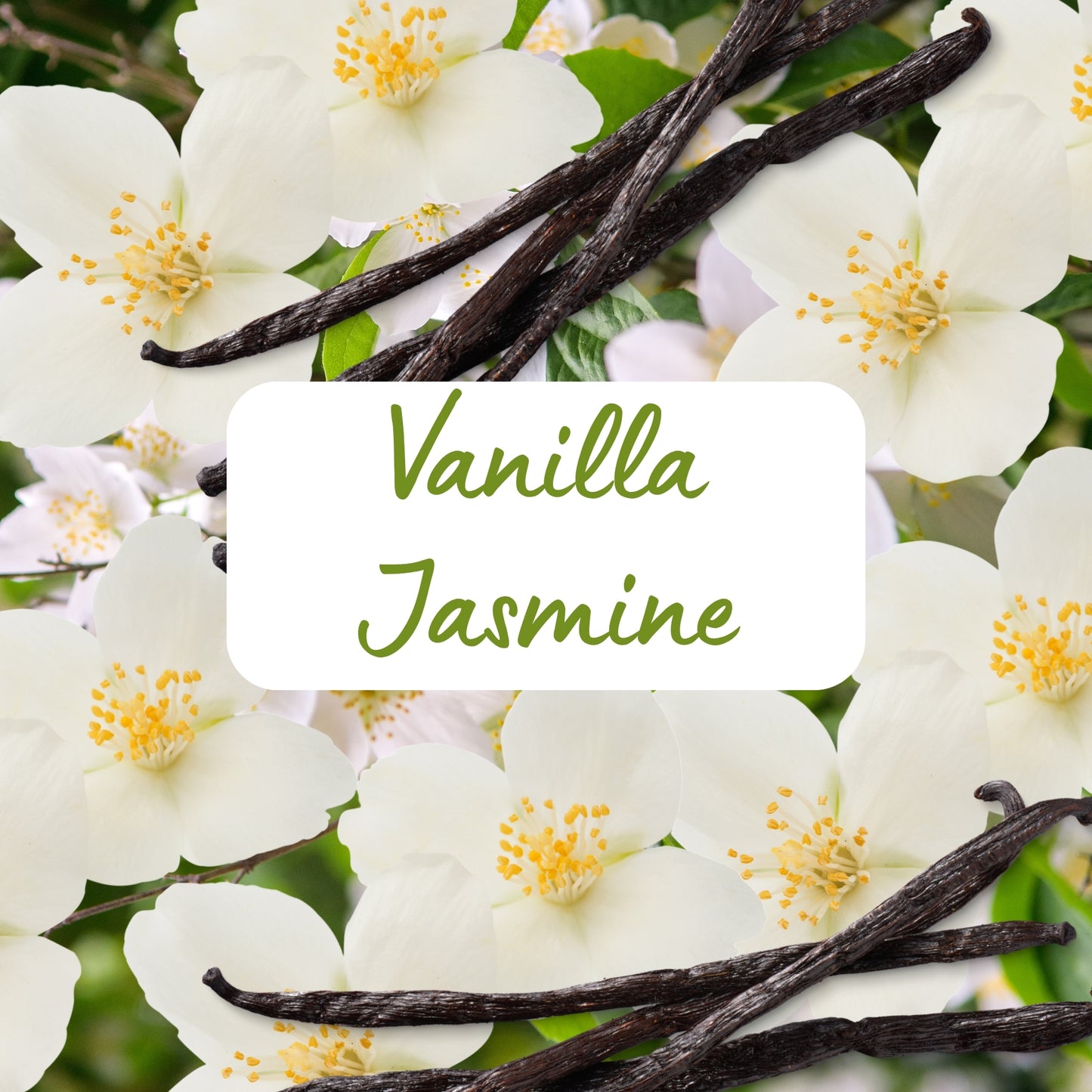 Vanilla Jasmine Scented Soy Wax Melts