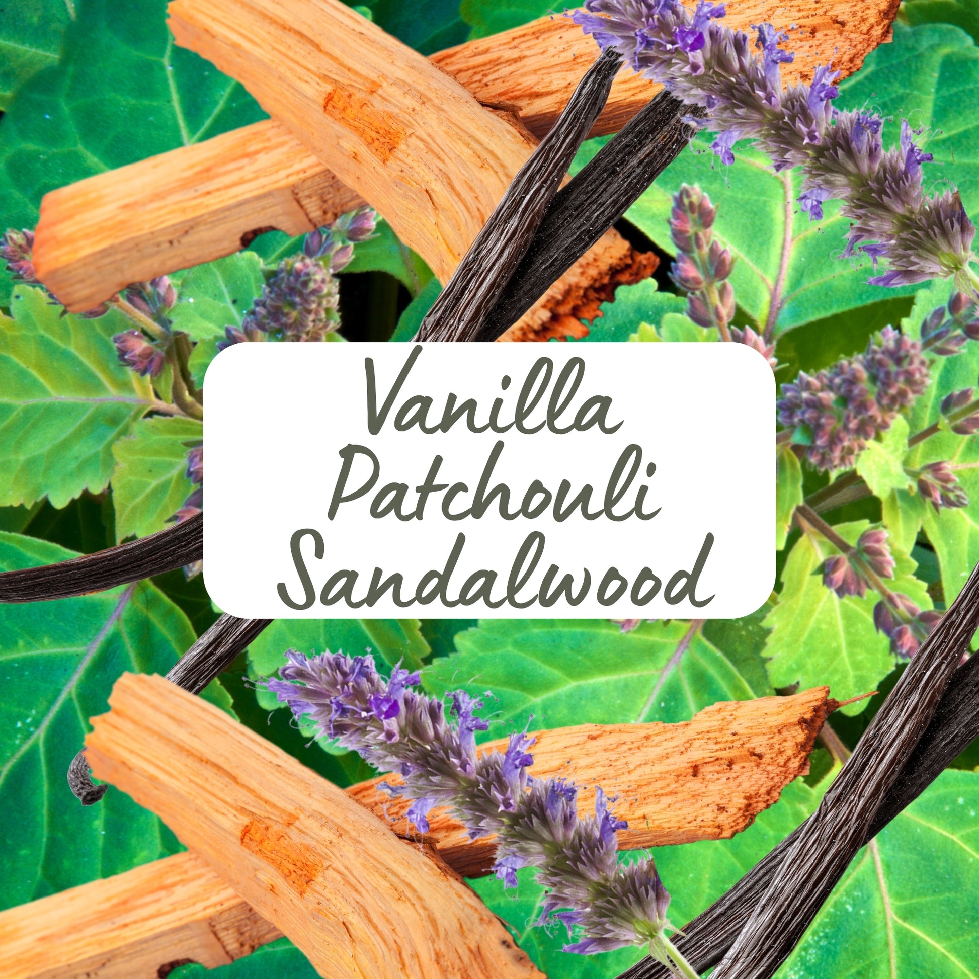 Spices and herbs with a label 'Vanilla Patchouli Sandalwood' on a green leafy background