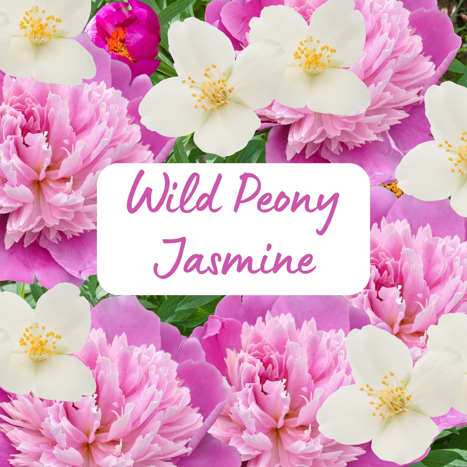 Floral arrangement with pink and white flowers and text 'Wild Peony Jasmine'.