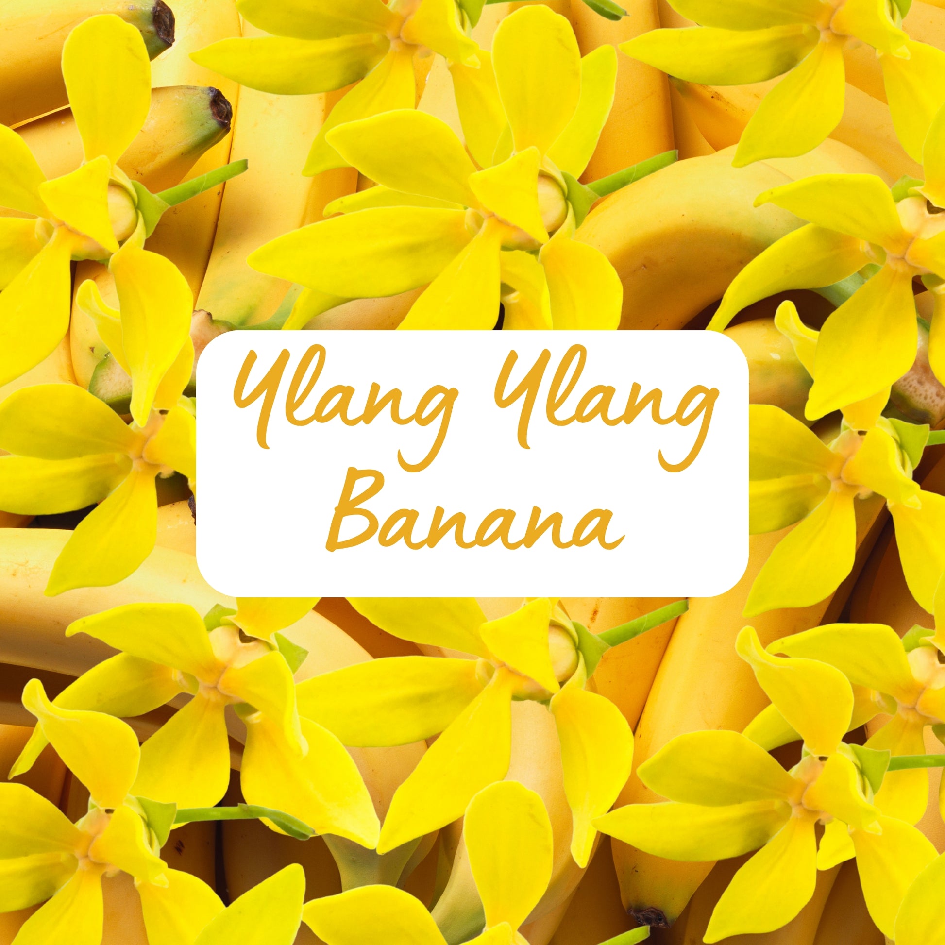 Ylang Ylang Banana with yellow flowers and a label in the center.